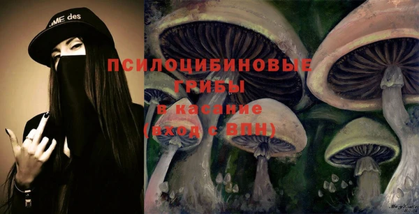 меф Белокуриха